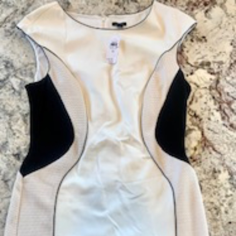 NWT Ann Taylor Work Black and White Dress Size 12